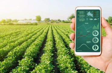 Smartphone-based DRS Detection of Potato Late Blight Disease