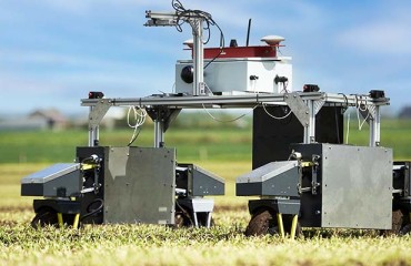 Testing Imaging Detection Technology During Extended Potato Season