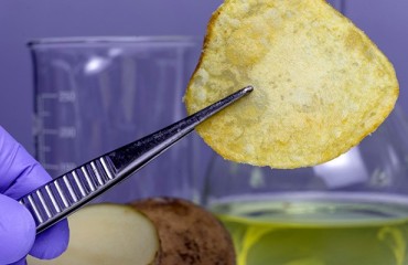 Novel U.S. Biotech Greenhouse Enterprise Focused on Processing Potatoes