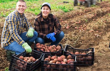 Rabo AgriFinance Concerned About 2023 Potato Prices