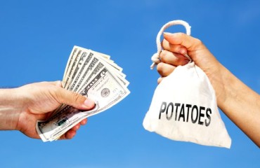 South Africa Imposes Import Final Duties on European Potatoes