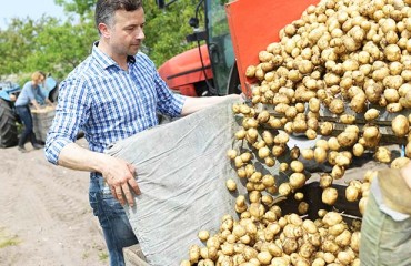Three Companies Together in a New Independent Cooperative of Table Potato Growers