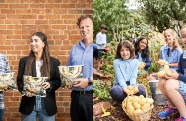 Mitolo Family Farms Develops Sustainable Paper Packaging for Fresh Potatoes