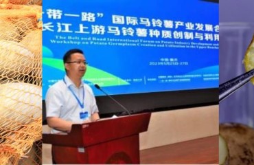 Improving the Quality and Effectiveness of the Potato Industry in the ‘Belt and Road Initiative’