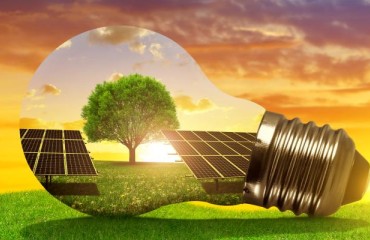 Harnessing Green Energy: Transforming Large Potato Processing Plants