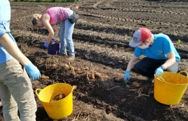 Expanding Scientific Understanding of Soil Health Characteristics in Potato Cultivation