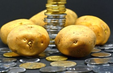 Federal Funding of USD19.6M for an Idaho Potato Packing Operation