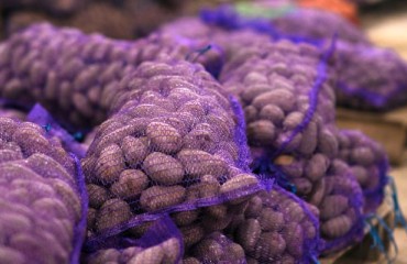 Türkiye Potato Production is Anticipated to Increase Significantly in 2023