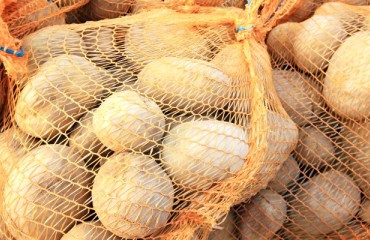 The U.S. Potato Retail Sales Grew in the First Trimester
