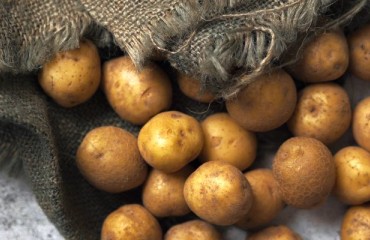 Due to High Prices Packing Potato Demand is Declining