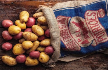 Despite the Lower Stocks Than Previous Years, the Canadian Potato Growers are ‘Optimistic’