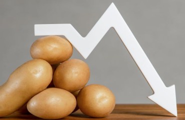 A Price Relief on the UK Potato Market