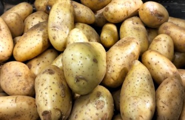 U.K.’s Defra Reveals a Smaller Potato Production for the 2022-2023 Season