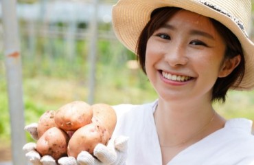 USD364m Worth of U.S. Potatoes and Potato-related Items Sold to Japan in 2022
