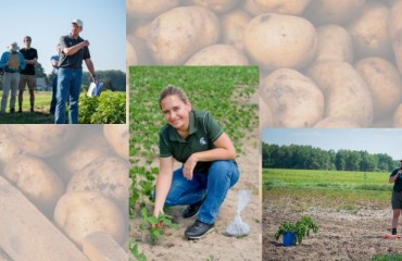 Latest MSU Potato Nutrient and Disease Management Discussion Topics