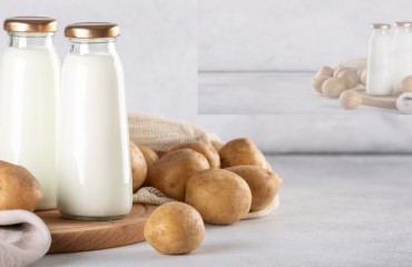 The Global Potato Protein Market to Grow Until 2033