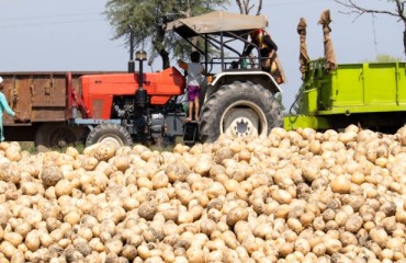 PepsiCo and SKUAST-K Began a Trial of Growing Specific Types of Potatoes in the Gurez Valley