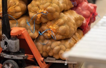 1.7m Tons of Potatoes Produced in Uzbekistan in the First Half of 2023