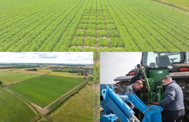 Net Zero Project Strategy Research to Reduce the Potato Industry's Carbon Footprint