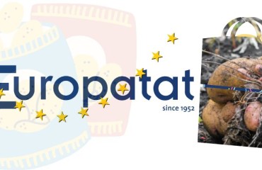 Europatat: The 2023 Season Will Exceptionally Result in a Shortage of Seed Potatoes