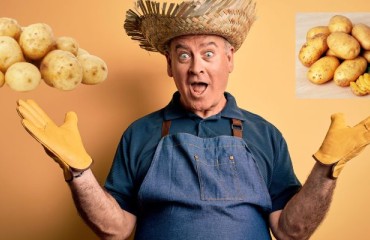 NEPG: A Four Percent Processing Potatoes Demand Growth in Europe Yearly