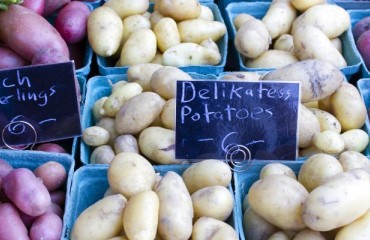 The Downward Trend for the Physical Potato Prices in Europe Has Started to Level Off