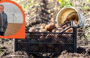 Scotland Resumes the Seed Potato Trade with Northern Ireland on September 30