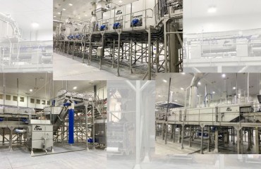 Efficiency and Quality Increase With TNA’s Two New Potato Products Lines