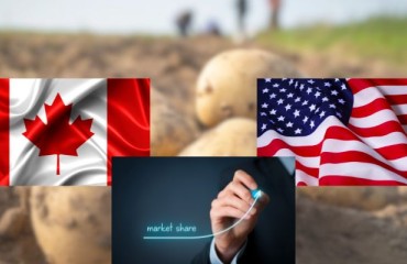 A Seven Percent Smaller Canadian Potato Crop Growth Versus the 2023 U.S. Harvest