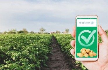 New Global Standard for Regenerative Agriculture Certification from FoodChain ID