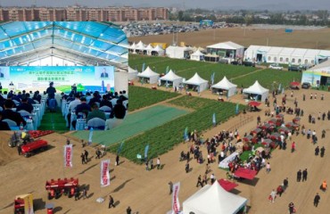 East China's Tengzhou Hosts Potato Expo to Seek Opening-driven Development