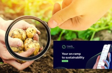 Providing On-farm Sustainability Insights on Potato Production