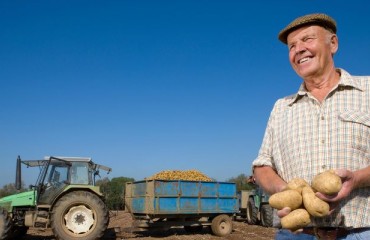 FN3PT: French Potato Seeds Producers Defend the Potato Supply Chains’ Sovereignty