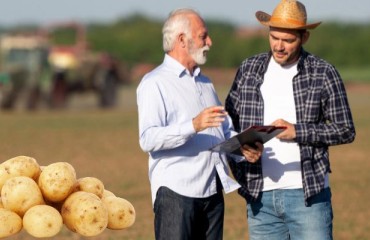 NEPG: There Must be a Logic Between Quotations and Real Exchanged Potato Volumes