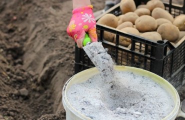 USD52.6m in Awards for the U.S. Fertilizer Production Expansion Program