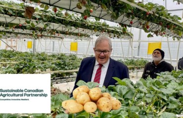 USD9.8m for Canada's Horticulture to Reduce the Reliance on Synthetic Pesticides and Fertilizers