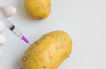 Increasing the Potato Resilience and Nutritional Value Through Super Pangenome