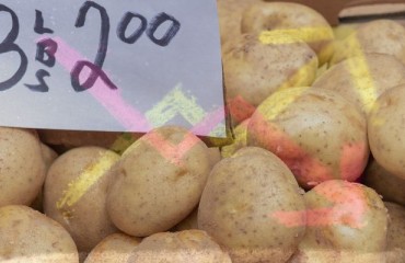 Two-digit Price Contraction for the Dutch and Belgian Potatoes