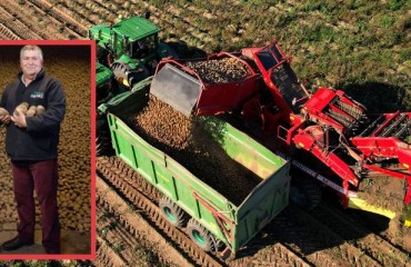 NFU: U.K. and Wales Potato Yields ‘Seem to Have Recovered Better Than Expected’