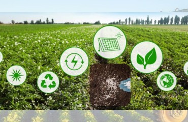 Novel Biostimulant to Help Potato Crops Withstand Stress and Harsh Weather