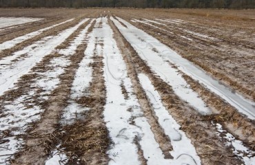 Bad Weather Leaves Ireland With ‘Much Crop Left to be Harvested’