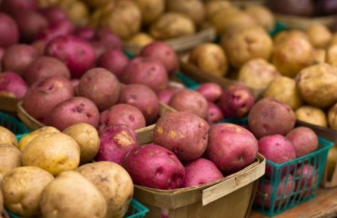 UPGC: Overall Canadian Potato Production Will be Down