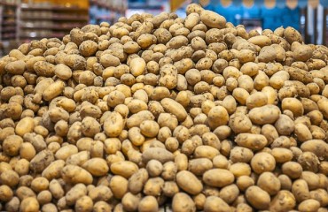 US is at a “Low” Supply Risk Level for Potatoes