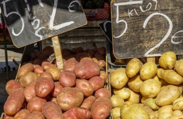 Ukrainian Spud Prices Are Gaining Pace