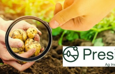 Newly Founded Presia to Better Evaluate and Predict Potato Crop Yields