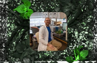 Innovative Potato Plant that can Detect Gamma Radiation