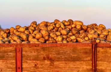 Taking Charge of the Supply Chain to Boost Revenues