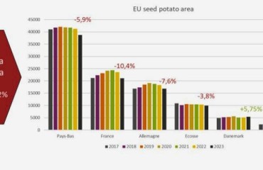 Significant Decline in Europe's Planted Areas for Potato Seeds in 2023