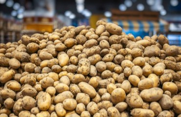 Perspectives on the 2023-2024 Potato Supplies