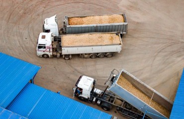 Canada is Sending More Fresh Potatoes to U.S. Markets